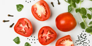 VerraWest Gallery 55