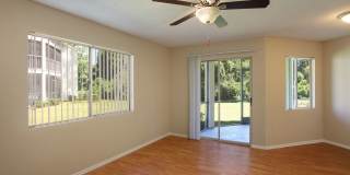Agora at Port Richey Gallery 21