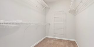 Single Family home in Hedingham: Available Now! Gallery 17