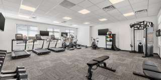 The Altitude II Gallery 13