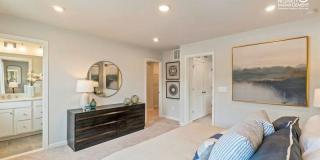 4959 Lexi Ln - 1 Gallery 23