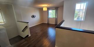 914 Wilderness Way Gallery 14