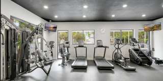 1813 Wood Fern Drive Gallery 29