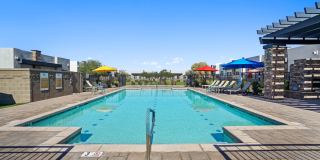 Olive Queen Creek Gallery 22