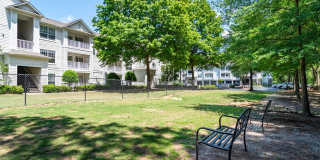 Magnolia at Milton Gallery 22