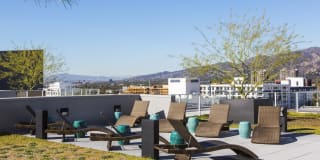 The Brand Gallery 19