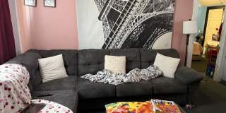 74 George Street Gallery 1