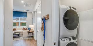 Yardly Elm Gallery 2