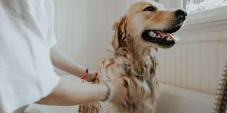 Lofts at Weston Lakeside Gallery 46