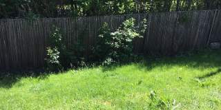 4 Bedroom 2 Bathroom House - Close to MSU Campus Gallery 32