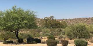 11725 N DESERT Vista Gallery 26