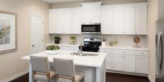 Contemporary Luxury in Austin’s 51 East Community | Stylish Living at 5301 Cobalt Canopy Bend Gallery 3