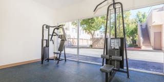 The Terrace Apartments Gallery 19