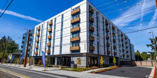 Traditions at Hazelwood - Senior and Affordable Housing Gallery 28