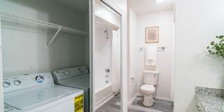 Lyv Austin Gallery 29