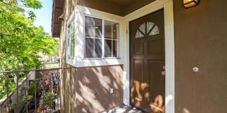 8034 E Snapdragon Gallery 3