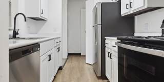 ReNew Woodland North and South Gallery 11