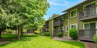 Aspen Glade Gallery 1