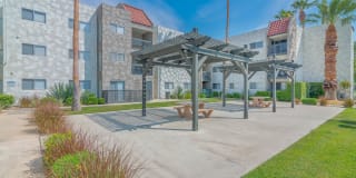 THE MODERN CACTUS Gallery 15