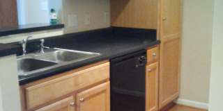 800 Moratuck Dr Apt 204 Gallery 3