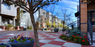 Uptown Broadway Gallery 28