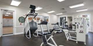 Victoria Place Gallery 85