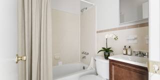 Misty Pines Gallery 5