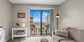 Close to the beach Gallery 43