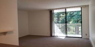 Cozy Studio Condo Available Now at Shelter Creek! Gallery 1
