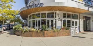 Pierce Boston Gallery 26