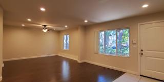 585 Cassia Street Gallery 1