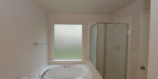 15746 Cotton Tail Gallery 15