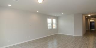 905 Olive Creek Drive Georgetown, TX 78633 Gallery 7