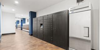 Axis Camelback Gallery 23