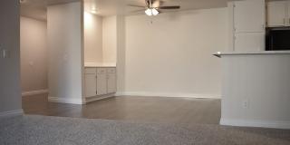 Encino Palms Gallery 13