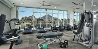 Citrine Apartments Arcadia Gallery 7