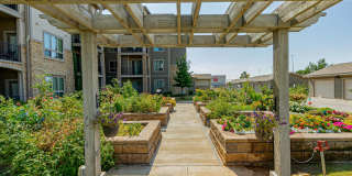 Album Quail Springs - 55+ Senior Living Community Gallery 4