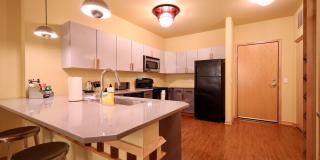 Settlement Place Gallery 162