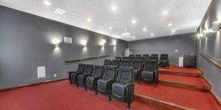 TGM Autumn Woods Gallery 30