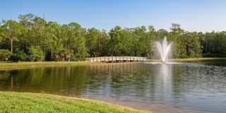 10360 Prato Drive Gallery 42