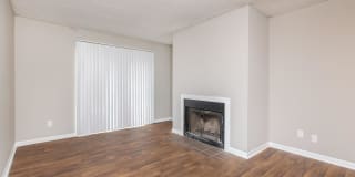 Sussex Downs Gallery 38