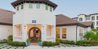 Cortona South Tampa Gallery 23
