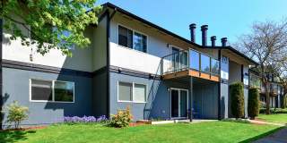 Tessera Apartments Gallery 15