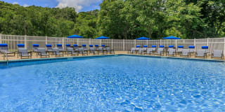 Nutmeg Woods Gallery 1