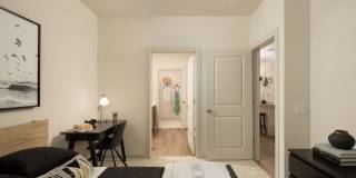 Las Palmas Gallery 20