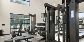 Axis at the Park Gallery 17