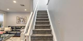 24 Mount Drive Gallery 4