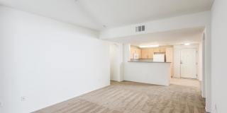 La Jolla Crossroads Gallery 42
