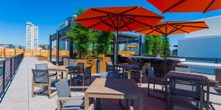 The Taft The Taft Gallery 51