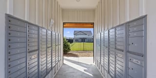 Amazon Falls Gallery 46